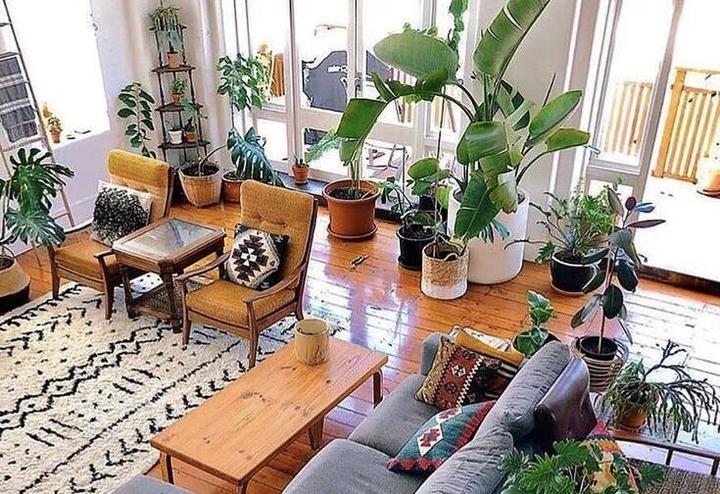 涉“水光针”灰产 有关机构被立案