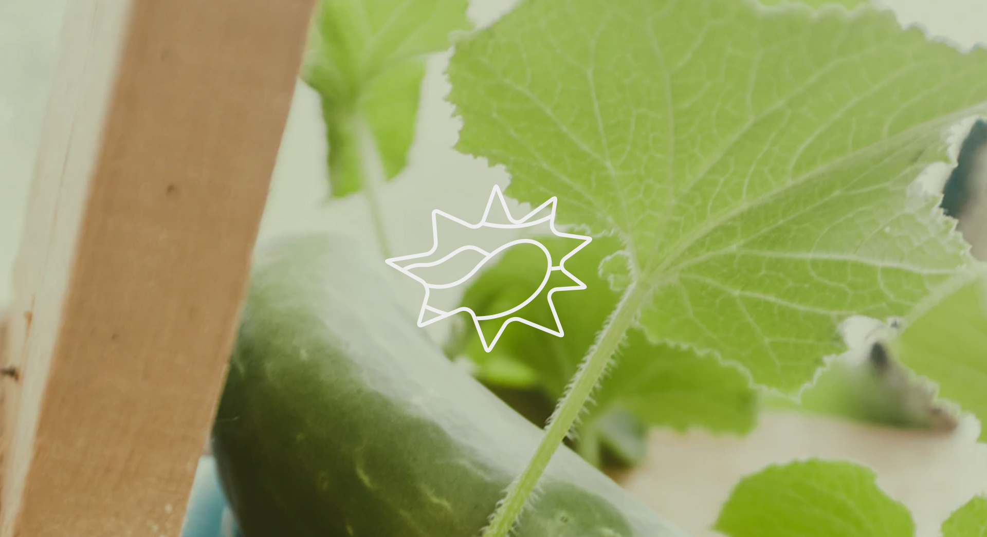 梅州视觉丨球乡之光闪耀全运赛场