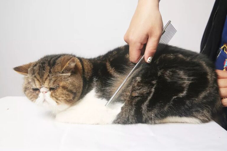 AI竞赛成本高昂！CoreWeave(CRWV.US)第二季度亏损加剧，第三季度指引不佳